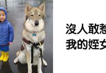 生小孩就把狗送走? 25張「暖心夥伴照」打腫這些人的臉
