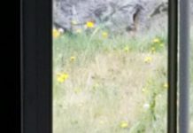 請幫幫忙…搬家發現紙條小驚喜 「買新房送房客」網懇求:收留他們吧!