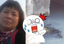 最狂議員!蔣月惠1年勘查345天 成功搞垮汙染工廠