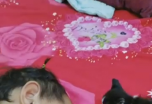 不要害怕~弟弟用愛保護新成員小奶喵 「互相依偎」一起睡著:謝謝你照顧我❤️