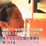 替浪浪盡一份力!小女孩「自願照顧20隻貓」 夢想當獸醫:幫助更多貓~