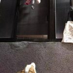 心愛的玩具被洗,小柯基擔心的守護了一整晚~