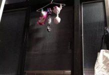 心愛的玩具被洗,小柯基擔心的守護了一整晚~