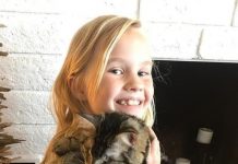 8歲女孩在漫畫中假裝自己養貓,直到父母被打動領貓回家