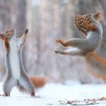 21張需要「給我點時間冷靜想想」的奇特巧合照