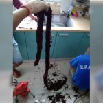 驚人!他家水管塞4年 水電工竟拉出這條「黑山老妖」