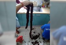 驚人!他家水管塞4年 水電工竟拉出這條「黑山老妖」