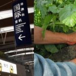 出國打工月入72K好誘人 花大錢入境結果慘兮兮!