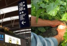 出國打工月入72K好誘人 花大錢入境結果慘兮兮!