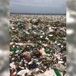 台灣斷交國變這樣! 多明尼加駭人垃圾海