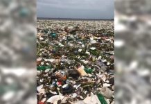 台灣斷交國變這樣! 多明尼加駭人垃圾海