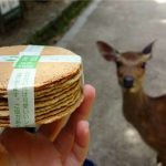 奈良鹿為何只「圍剿」遊客討要仙貝而不敢騷擾小攤販 原來老闆手中有「秘密武器」