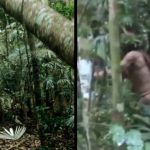 地表最孤獨!部落族人全遭殺害 「最後倖存者」他獨居22年…畫面曝光!