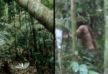 地表最孤獨!部落族人全遭殺害 「最後倖存者」他獨居22年…畫面曝光!