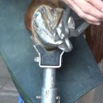 揭秘「幫馬剪指甲」的療癒過程 一脫掉馬蹄鐵就讓人大開眼界