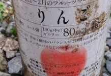 打開「最佳賞味期為1992年」的過期蘋果罐頭,結果竟挖出觸目驚心的黑色謎樣物!