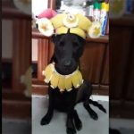 劇裡造型跟配色完美的搭配讓人津津樂道,許多模仿紛紛出籠