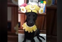 劇裡造型跟配色完美的搭配讓人津津樂道,許多模仿紛紛出籠