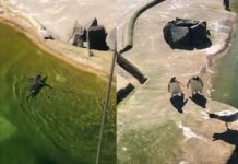 遇到糾纏人的傢伙,或是跟屁蟲,到哪就是要跟著你,這種真的很令人傷腦筋...