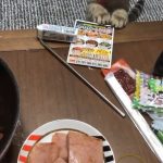 世界上最遙遠的距離…不是我在你面前,你卻不知道我喜歡你!