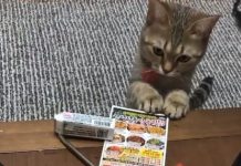 世界上最遙遠的距離…不是我在你面前,你卻不知道我喜歡你!