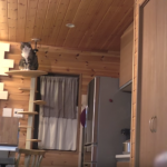 貓咪,只要看到你做出這種手勢,就像是被吸了過去一般