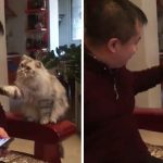 「朕就在你面前,你膽敢無視朕!」