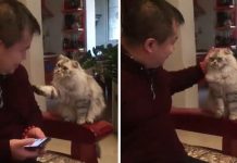 「朕就在你面前,你膽敢無視朕!」