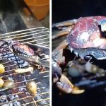 火烤螃蟹…驚見成千上萬寄生蟲蠕動!網崩潰:中秋怎麼烤肉