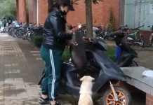 「已經好幾次送寶寶離開了,肯定不捨得」…