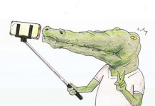 20張正中笑點的「鱷魚困擾日常」當一隻鱷魚真的心好累啊~