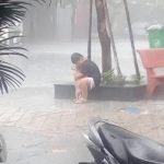 小男孩偷偷的收養流浪狗,父母不同意,大雨中告別,讓人心酸