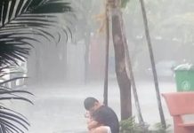 小男孩偷偷的收養流浪狗,父母不同意,大雨中告別,讓人心酸