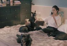 跟寵物生活是一件快樂的事,但你能想像跟100隻狗狗每天待在一起的情境嗎?