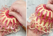 蘋果一拉蒂頭就變燈籠! 日本「蔬果雕刻大師」大家都拜託他玩食物