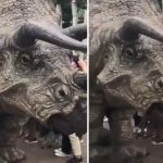 真實版《侏羅紀公園》!三角龍霸氣逛大街 突然「停下腳步和同伴打招呼」網嗨翻:恐龍復活了