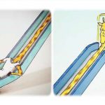 畫「賤賤動物」插畫贏得20萬粉絲 本尊現身:我很怕老婆…