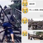 一場颱風看見強國人的奴性?政府不放假全體用爬得也要去上班…網民:我是心甘情願的