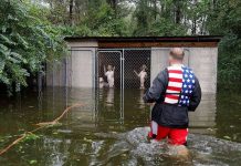 主人避颶風卻丟下我們… 英雄志工及時救援:竟然把6隻毛孩關在籠子裡