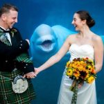 新婚夫婦讓棕熊見證幸福!竟然拍到意想不到的畫面讓全網笑到美叮噹:我看見了絕望