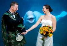 新婚夫婦讓棕熊見證幸福!竟然拍到意想不到的畫面讓全網笑到美叮噹:我看見了絕望