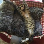 16張可能讓你覺得困惑的照片~真的太有趣了~