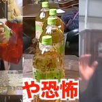 夭壽孫綠茶底部挖空放桌上!「一拿整瓶流光」連整七次阿嬤反應太絕…1200萬網友全笑翻