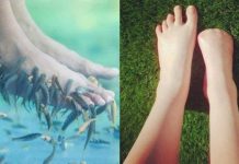 澳妹去泰國體驗「魚吃腳皮」去角質…五隻腳趾全沒了! 原因曝光神慘:悲情連續劇