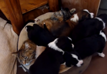 如果撿到一個陌生無助的寶寶,你會善良的將他帶回家照顧嗎?