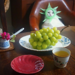 貓奴就是要好好伺候家裡的喵皇,哪敢隨便招惹牠們,就算搗蛋也不敢隨意生氣啊!