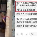 兒子回台才好過?媳喊冤沒虐待 鄰居:丟東西給婆婆吃當狗