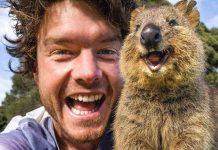 20 張超可愛的動物照片~看完後心都快被融化了~