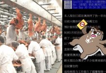 澳洲打工沒想像中爽!肉廠工作1年鄉民勸世文「有點太中肯」 直呼:智商下降