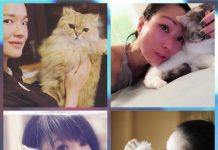 喵星人報到!盤點圈中貓奴美女與她們的愛貓們